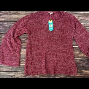 The pioneer woman red sweater